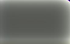 В Эстонии русскоязычных срочнослужащих обязали изучать госязык