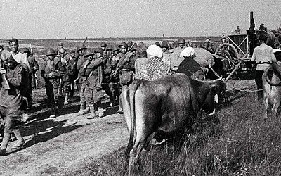 Германия начала передавать Беларуси документы по делу о геноциде