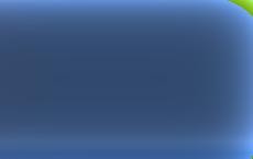 «Мадьяр на ножи!»: на Украине расклеили провокационные антивенгерские листовки