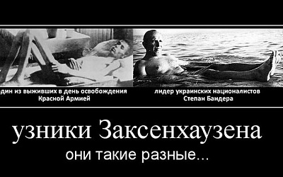 Почему Степана Бандеру выпустили из нацистского концлагеря?