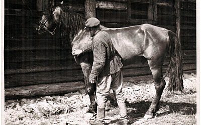 «Конюх из психбольницы»: в 1982 г. КГБ поймал жестокого бандеровца из банды «Черноморца»