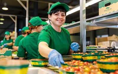 Россельхознадзор разрешил поставки овощей с предприятий Молдовы