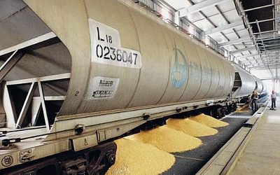 В Литве признались, что завозить украинское зерно в обход Беларуси невыгодно