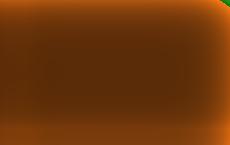 Канцлер Австрии проигнорировал латвийского министра в «Твиттере»