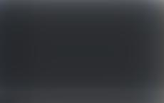 В посольстве РФ в Германии рассказали об изъятии автомобилей с российскими номерами