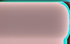 Лукашенко: если не нравится нынешний президент, то только выборы решат этот вопрос