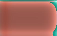 Лукашенко одобрил стратегии участия Беларуси в ШОС и БРИКС