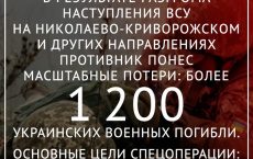 Последствия СВО: ВСУ потеряли свыше 1200 боевиков при попытке наступления на Николаево-Криворожском направлении