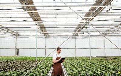 Лукашенко предложил Китаю построить в Беларуси теплицы для овощей и цветов