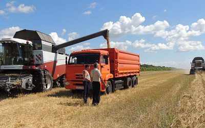 Фермеры в Литве запаниковали из-за украинского зерна