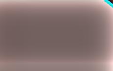 Палецкис: референдум по вступлению Литвы в Евросоюз был фактически куплен