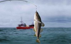 Из-за запрета ЕС латвийские рыбаки распиливают свои суда на металлолом и уезжают в Россию