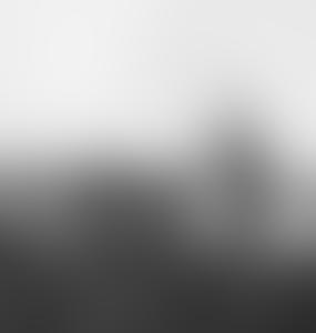 Торговля с Русью, «золотой» голубиный помет и истоки нацизма: что помнит Пороховая башня Риги