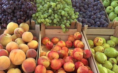 МИД РФ призвал Молдову обойтись без политизации в вопросе эмбарго на ее продукцию