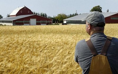 Весь заработок придется отдать: аграрии Латвии готовят пикет против нового налогообложения