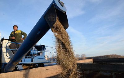 Еврокомиссия рассмотрит вывоз зерна с Украины через морские порты Прибалтики