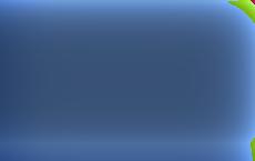 Эстония объявила санкции политикам из Молдовы и Сербии