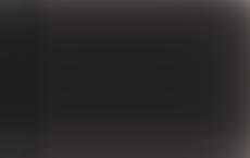 Автор мифов о протоукраинцах «откопал» у Байдена запорожские корни