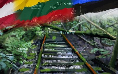 В состоянии глубокого психоза: почему власти в Прибалтике идут по пути самоубийства