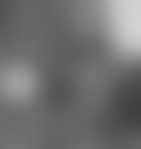 Истинные герои Прибалтики: Вильнюс пытается «забыть» вклад литовцев в победу над нацизмом