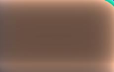 На Украине предложили ввести паспорта неграждан по примеру стран Балтии