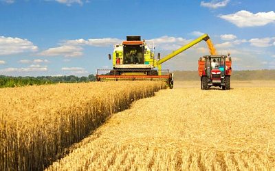 В Литве готовят инфраструктуру для приема украинского зерна