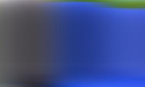 Свой среди своих: зачем молодежи России и Беларуси Союзное государство