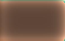 Советница президента Литвы прокомментировала возможность его встречи с Лукашенко