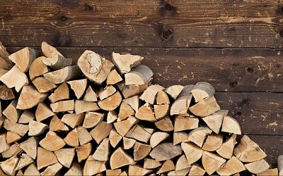 Украинских чиновников обвинили в многомиллионных кражах на дровах для фронта