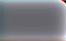 В Польше сотрудники посольства Украины попались на контрабанде