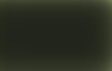 МВД Латвии потратило сотни тысяч евро на бесполезную технику