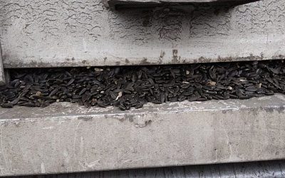 На границе с Беларусью задержали фуры с контрабандными семечками