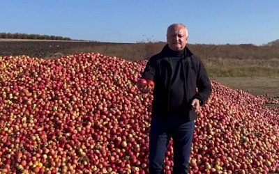 Экс-президент Молдовы призвал открыть для фермеров российский рынок
