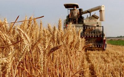 Еврокомиссия отказалась продлевать эмбарго на поставки украинского зерна