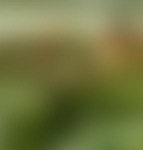 История города Полоцк кратко