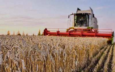 Санкции превратили Россию в аграрную сверхдержаву