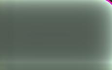 Украина приняла все законы об амнистии в рамках Минских соглашений