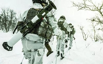 Литва закупит у Швеции гранатометы и боеприпасы на крупную сумму