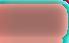 В Литве официально сформирована новая правящая коалиция