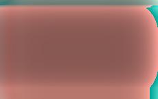 Премьер Польши призвал власти Беларуси провести новые выборы президента