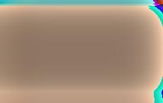 Президент Латвии объяснил, почему на муниципальных выборах была низкая явка