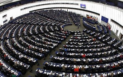 Кривцова: «Согласию» нужны более чёткие взгляды, мы слишком  умеренные