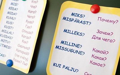 Блогер с Украины поделилась сложностями в изучении эстонского языка