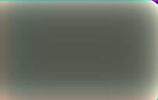 В Сейме Литвы сравнили правящую коалицию с разбитым телевизором