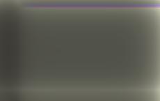 Европейские вузы начали отчислять студентов из России