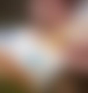 В Эстонии резко раскритиковали экономику страны