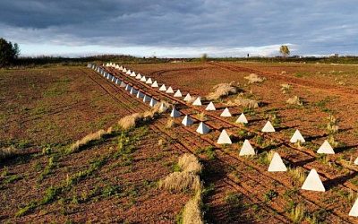 В Польше создадут противотанковые рвы и минные поля на границах с Россией и Беларусью