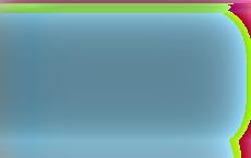 «Не вижу желающих»: глава МИД Польши раскритиковал гарантии безопасности Киеву