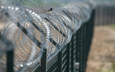 «Стены от России» используют для ограбления жителей Прибалтики и Украины