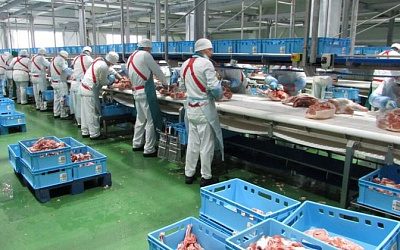 В мясной промышленности Германии запретят работать мигрантам из Восточной Европы